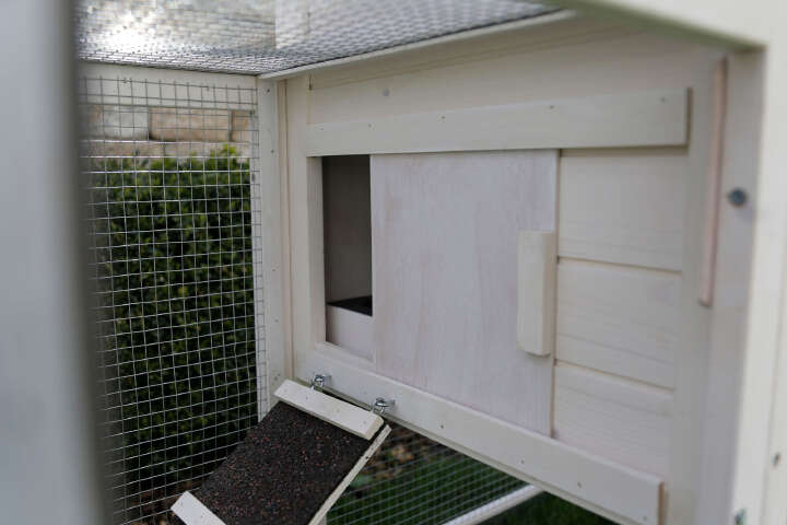 KERBL Nagerstall Freetime Luke